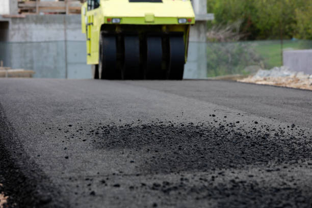 Best Local Driveway Pavers  in Whitney, SC